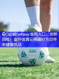 ⚽️必威betway官网入口:创新训练!室外体育云梯器材为您带来健康挑战