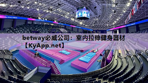 betway必威公司:室内拉伸健身器材