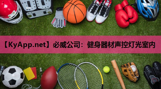 必威公司:健身器材声控灯光室内