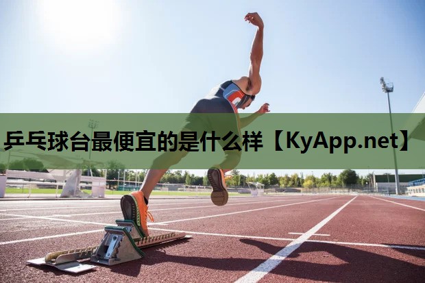 乒乓球台最便宜的是什么样