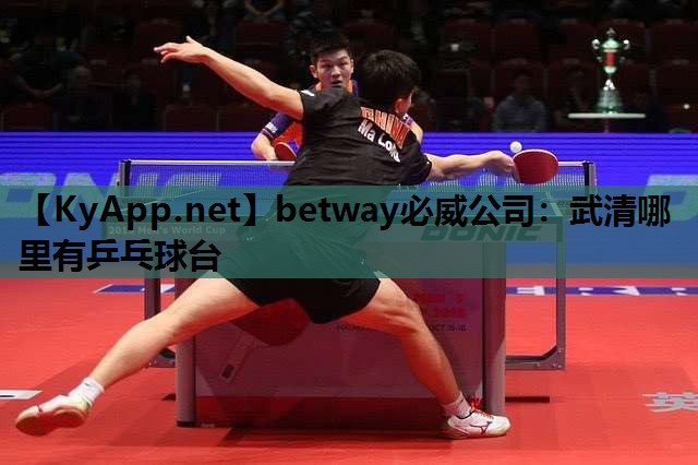 betway必威公司:武清哪里有乒乓球台