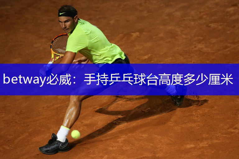 手持乒乓球台高度多少厘米