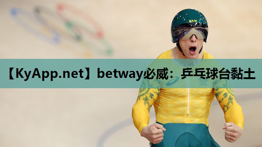 乒乓球台黏土