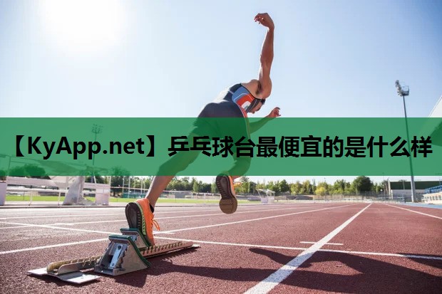 乒乓球台最便宜的是什么样